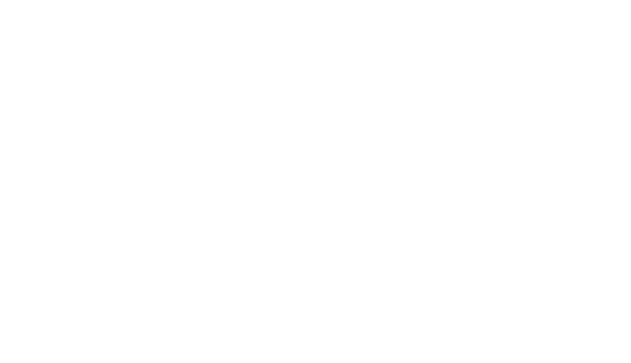 AngulaCo. Incorporated